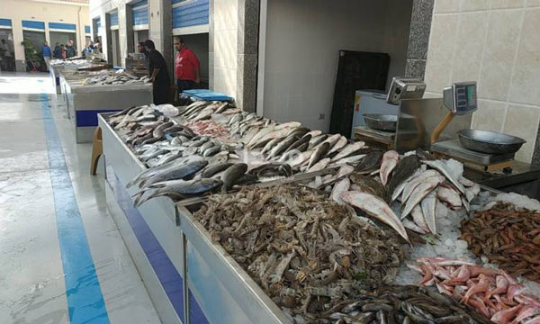 سوق السمك الجديد ببورسعيد